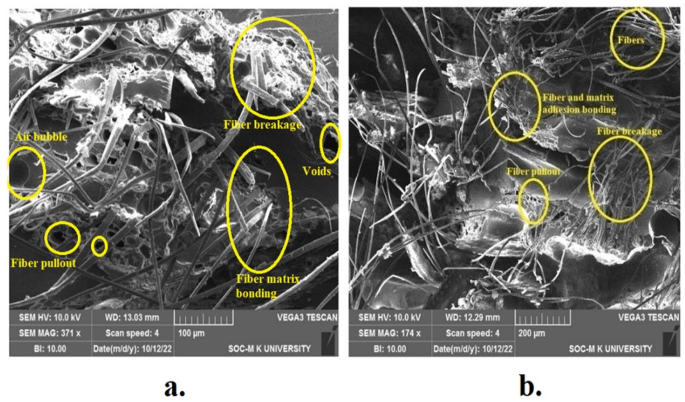 Sem micrographs of tensile-fractured samples with 20-mm-long