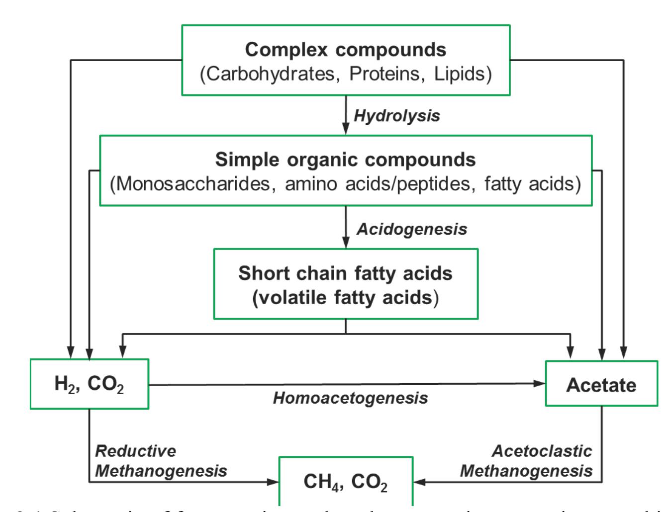 PDF) The production and biotransformational changes of soluble 
