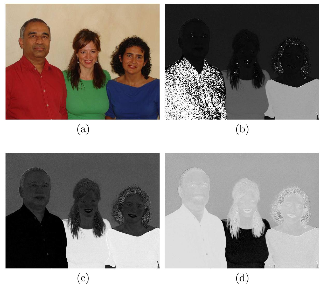 (PDF) Color Image Processing with Biomedical Applications