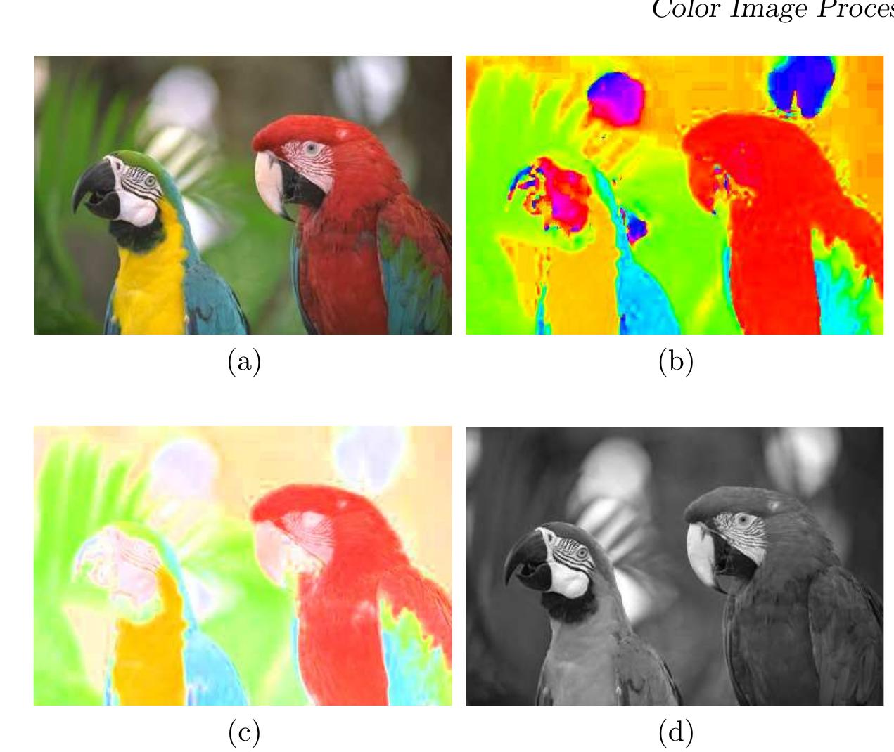 (PDF) Color Image Processing with Biomedical Applications