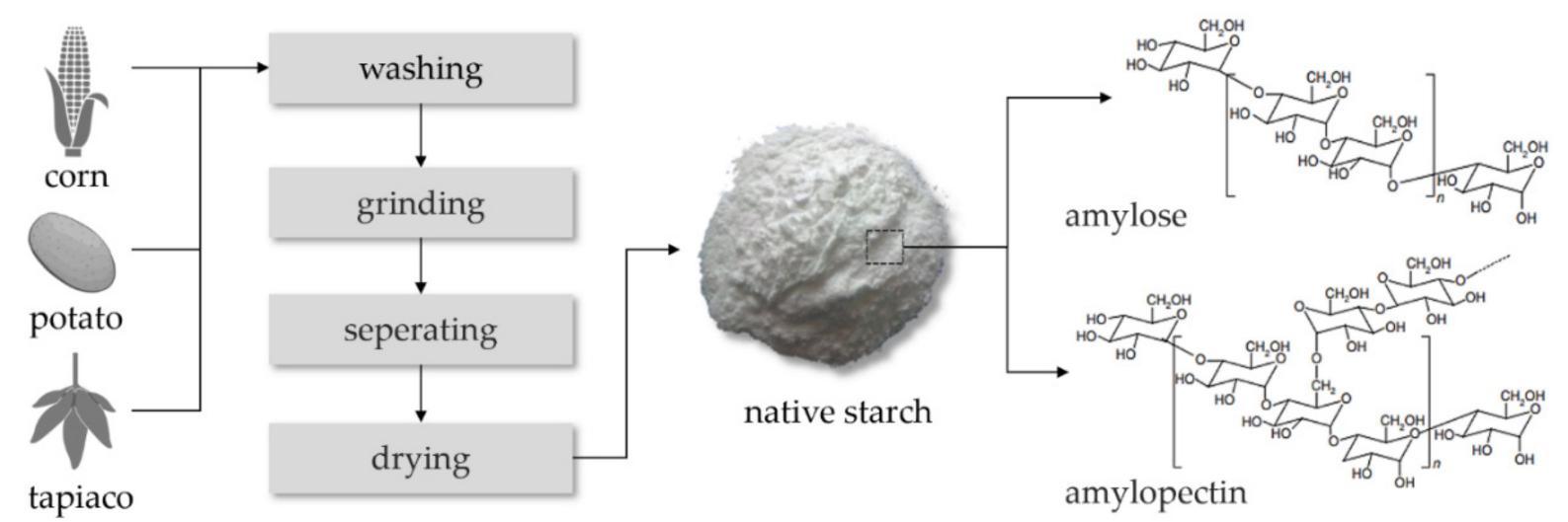 Native Starch Structure Figure 1 - from Review on Spinning of Biopolymer Fibers from