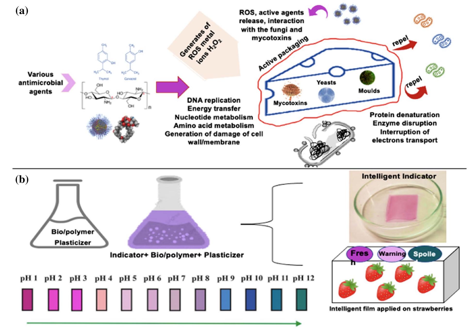 Schematic diagram of a active and b intelligent packaging