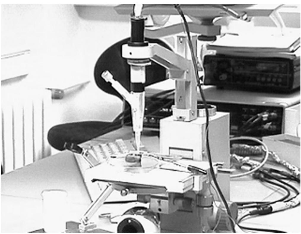 Figure 1. Mini cell system (MCS) used for electrochemical measurements. 