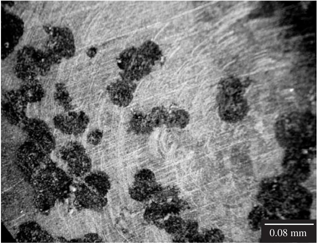Figure 3. Microphotograph of the magnesium surface after performing the polarization curve in NaCl solution (50x). 