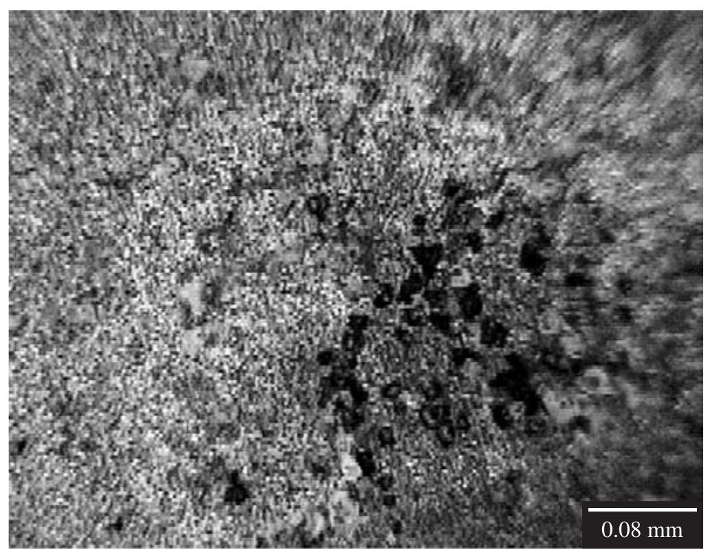 Figure 5. Microphotograph of the magnesium surface after performing the polarization curve in an 0.1 %albumin-containing solution (50X). Localized attack with small pits can be observed. 