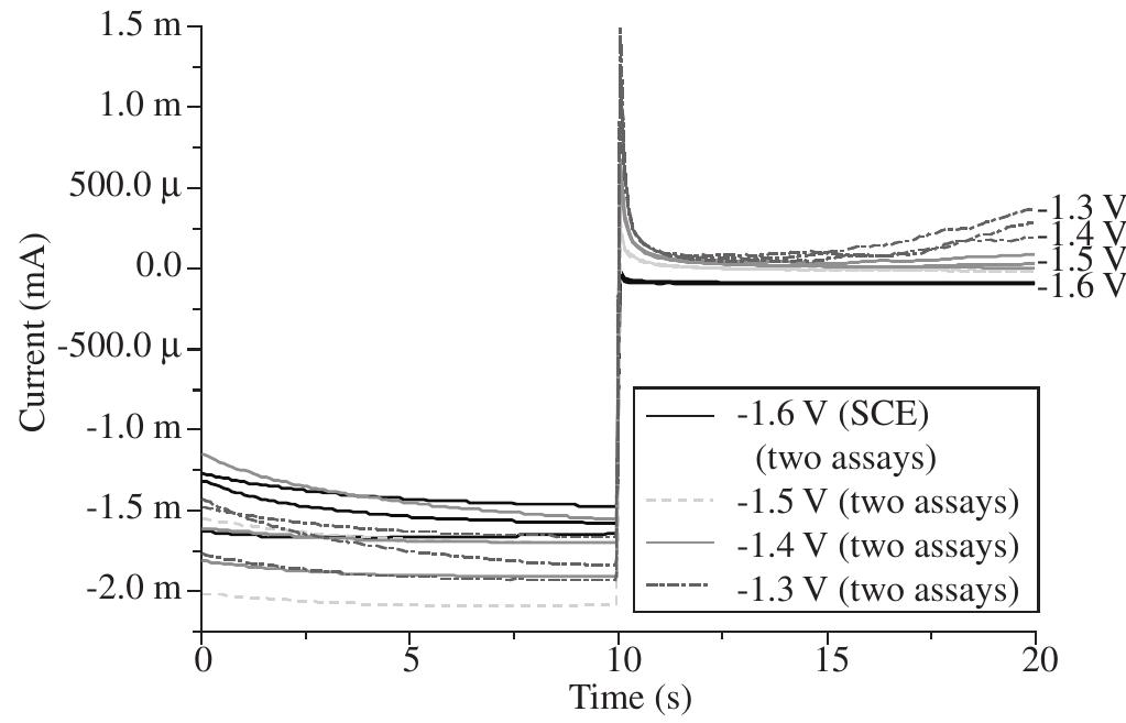 Figure 7. Transient currents corresponding to AZ31 magnesium alloy im- mersed in 10 g/L NaCl. Different records at -1.8 V are shown (left) followed by a potential step to a potential E in the -1.6 V to -1.3 V potential range (right). At potentials = -1.4 V a current increase is observed. 