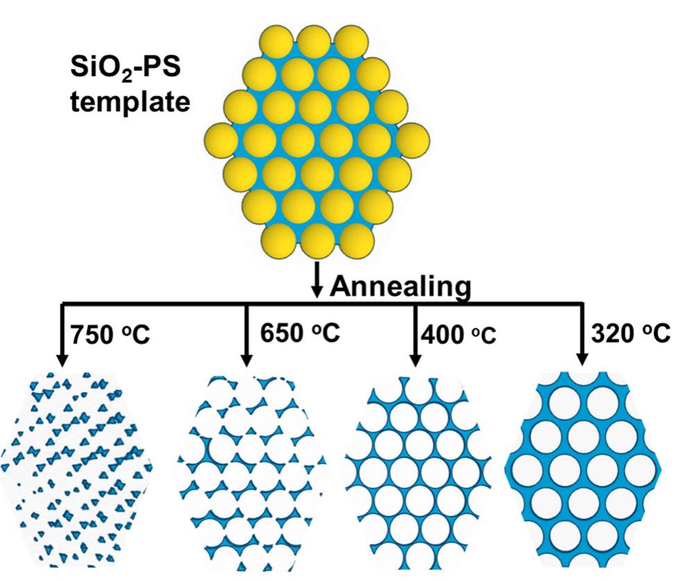 Schematic view of microstructural changes occurring in