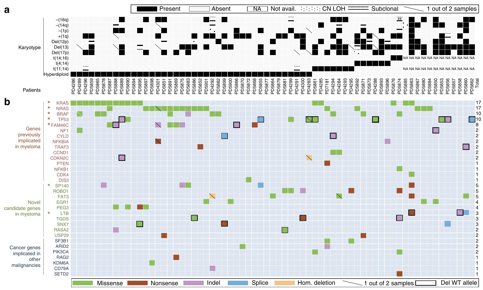 (PDF) Heterogeneity of genomic evolution and mutational profiles in ...