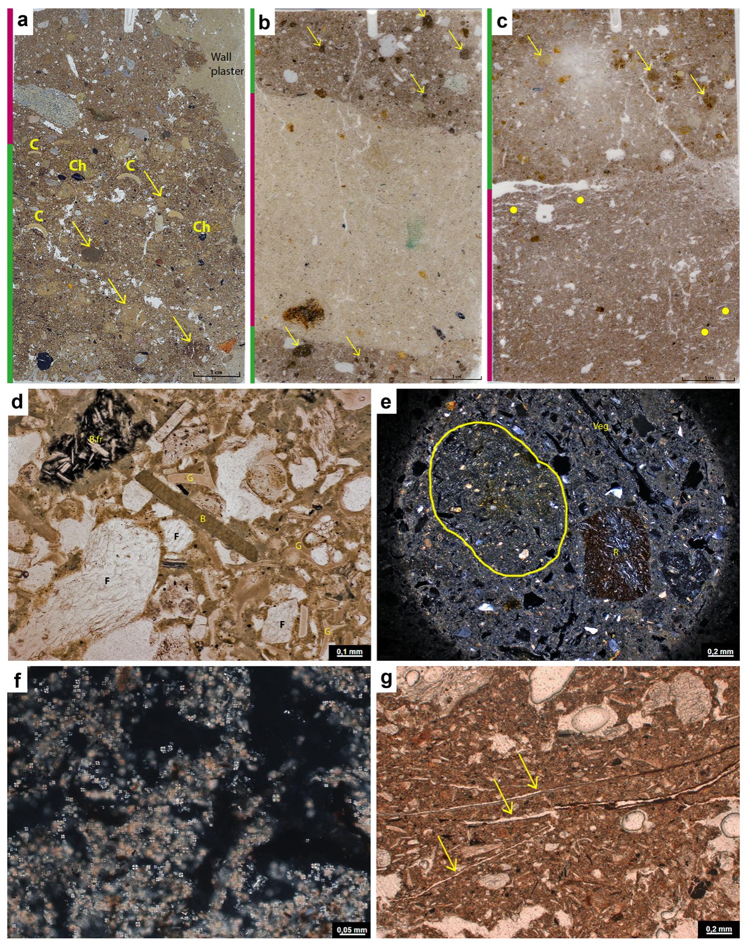 Figure 5: Comparison of thin sections of the mudbrick/mortars belonging to the different levels at Asikli HyUk (green: mortar and pink: mudbrick): (a) aggregates in the mortar are quite dense in their concentration and much more diverse than those in mudbrick in terms of size and type (arrows) in Levels 4 and 3. Mortar includes many types of anthropogenic materials such as charcoal fragments (Ch), hackberries (C), plane polarized light (PPL). (b) Dense aggregates (arrows) in the mortar show that mudbrick was pugged with a large amount of water in Levels 2J-2G, PPL. (c) The similarity between mudbrick and mortar in terms of the mixing process and tempering in Levels 2C-2A. There are many more plant materials in both the mudbrick and mortar (yellow dots), PPL. Some of the geogenic, biogenic, and anthropogenic materials described in the thin section: (d) Geogenic materials including a basalt fragment (B.fr), biotite (B), volcanic mineral grains (G), feldspar (F) in mudbrick through Levels 2F-2D, PPL. (e) Clay aggregate (in the circle), vegetal void (Veg.), and volcanic rock (R) in mudbrick in Levels 2J-2G, crossed polarized light (XPL). (f) Dung spherulites identified in the mortar, XPL. (g) The majority of the voids (arrows) are vegetal in form. The vegetal voids (white areas) exhibit horizontal orientation in the mudbrick, PPL. (M. Uzdurum). 