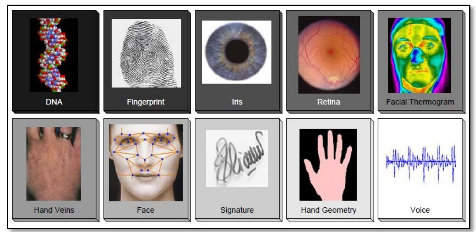(PDF) Biometric fingerprint architecture for home security system