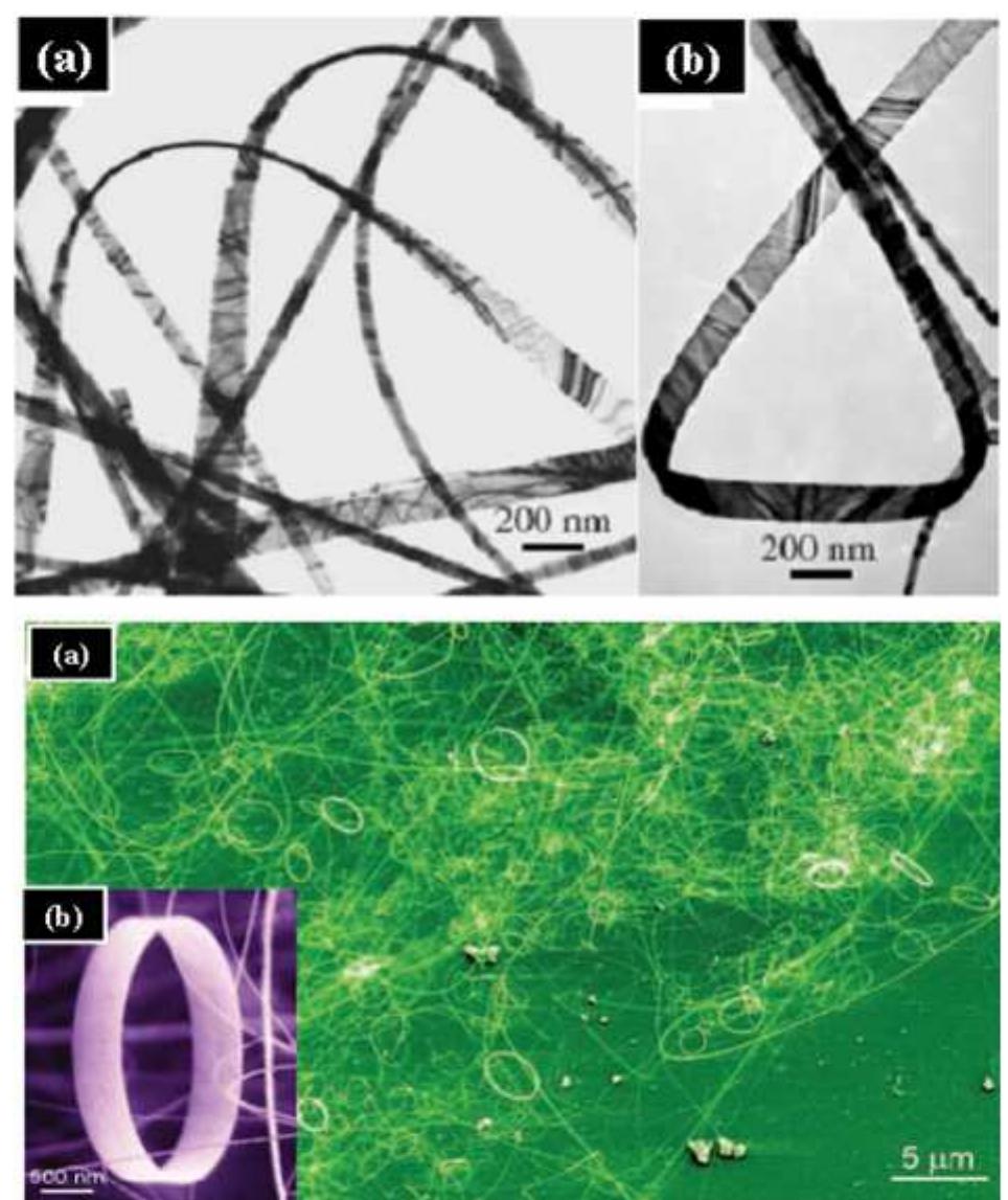 Figure 6 - Zinc oxide nanostructures and their applications