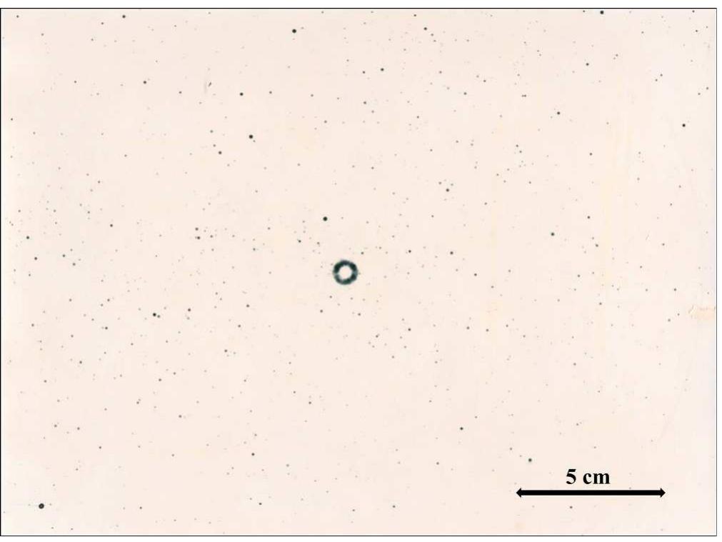 Fig. 2. DTO test result for a shooting distance of 100 cm.  The chemographical tests with DTO for the presence of copper showed positive results visible to the naked eye for all 10 samples collected at 100cm from the muzzle (Fig. 2). Due to the Expansion Mono-block bullet alloy composition, the bullet entrance hole was clearly visible in each copper pattern. 