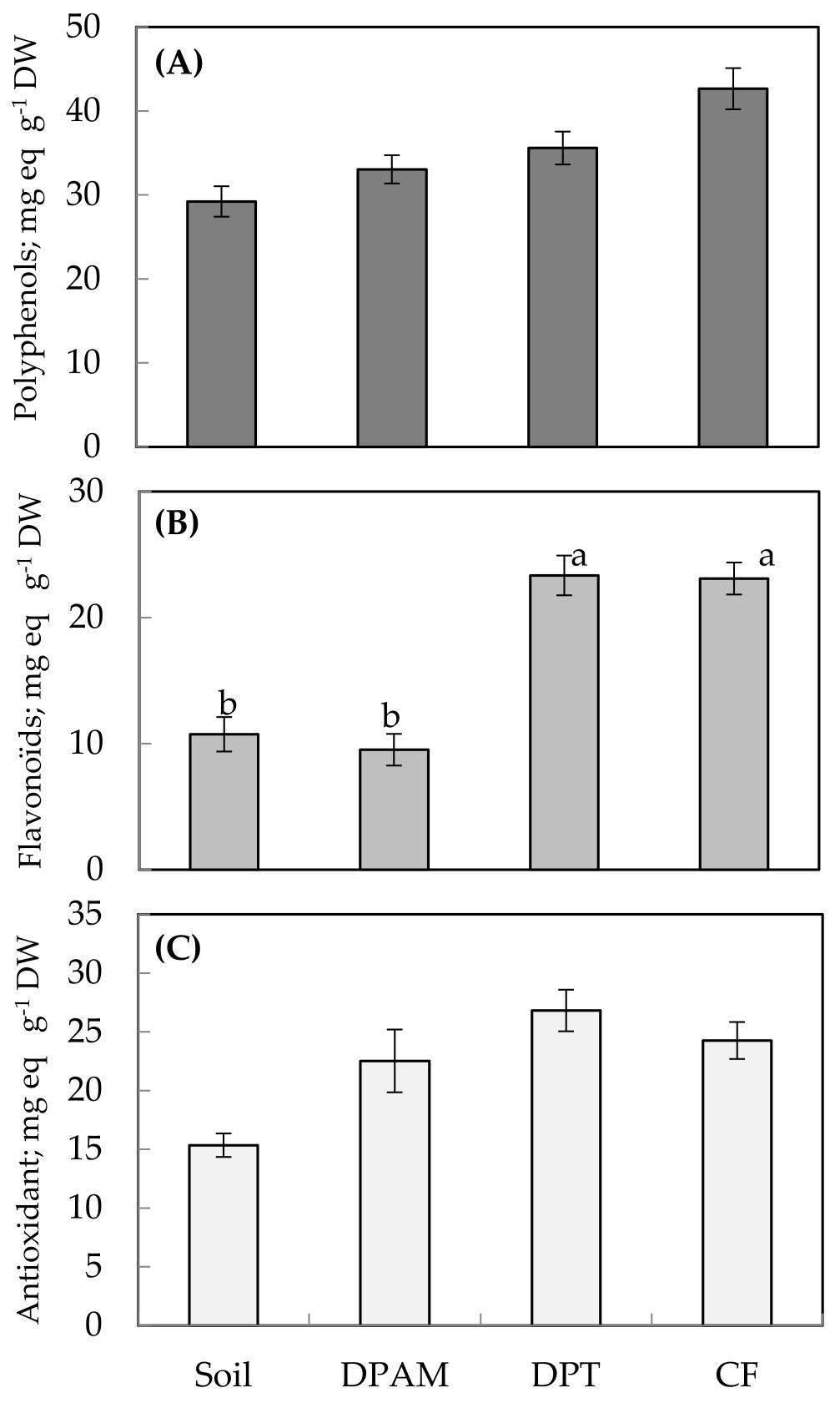Phytochemical composition and antioxidant activity of