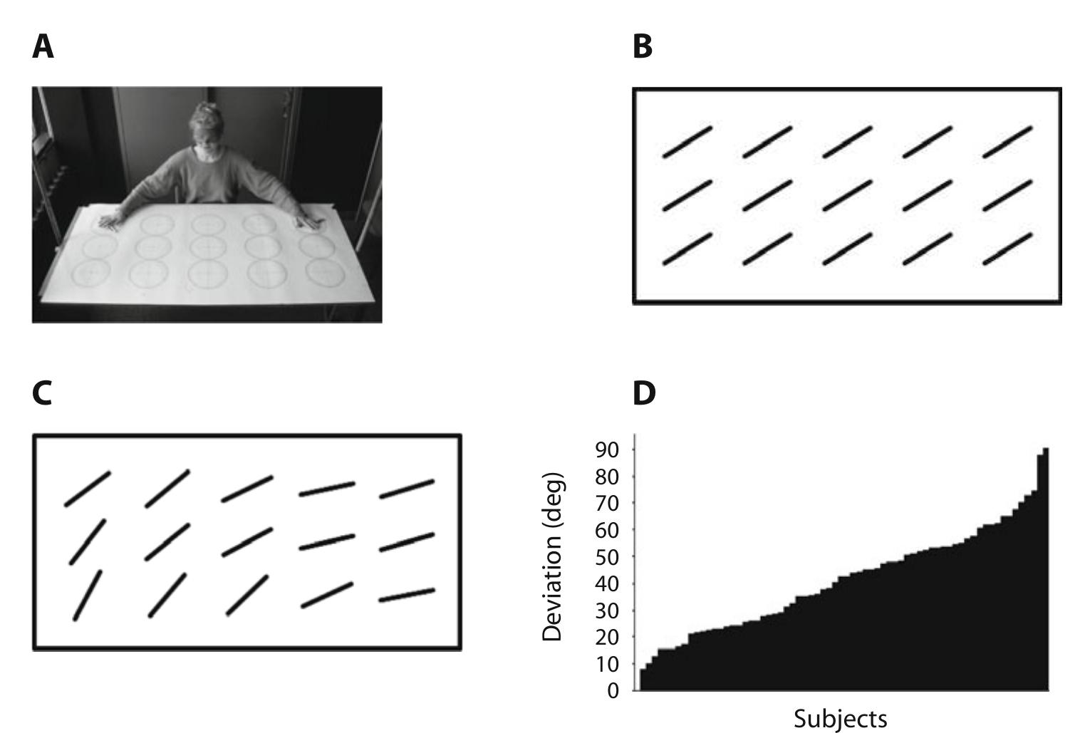 (a) schematic side view and (b) schematic view of the