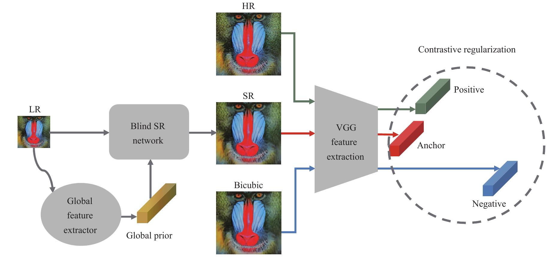 (PDF) Contrastive Learning for Blind Super-Resolution via A Distortion ...