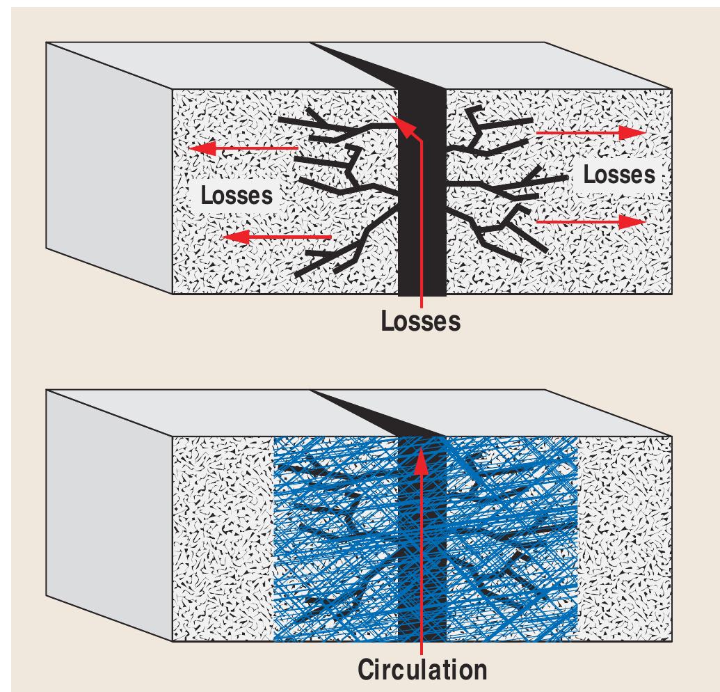Cemnet Problem (PDF) Fibers in cement form network to cure lost circulation