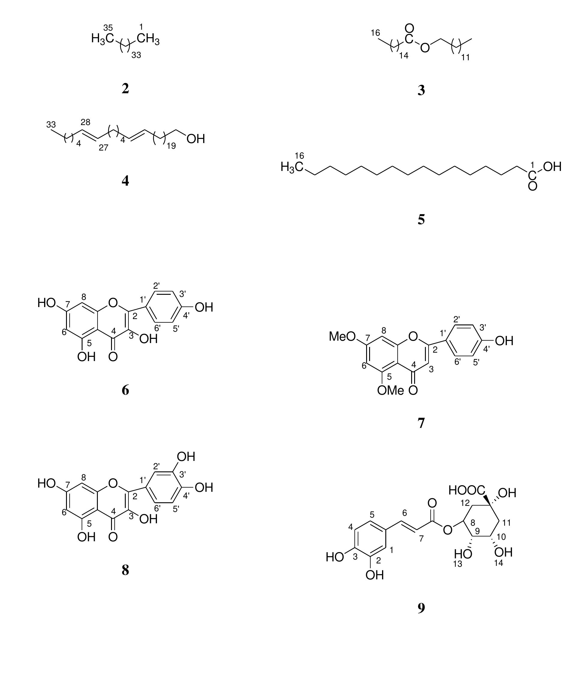 (PDF) New chemical constituent from the stem of Cuscuta reflexa Roxb ...