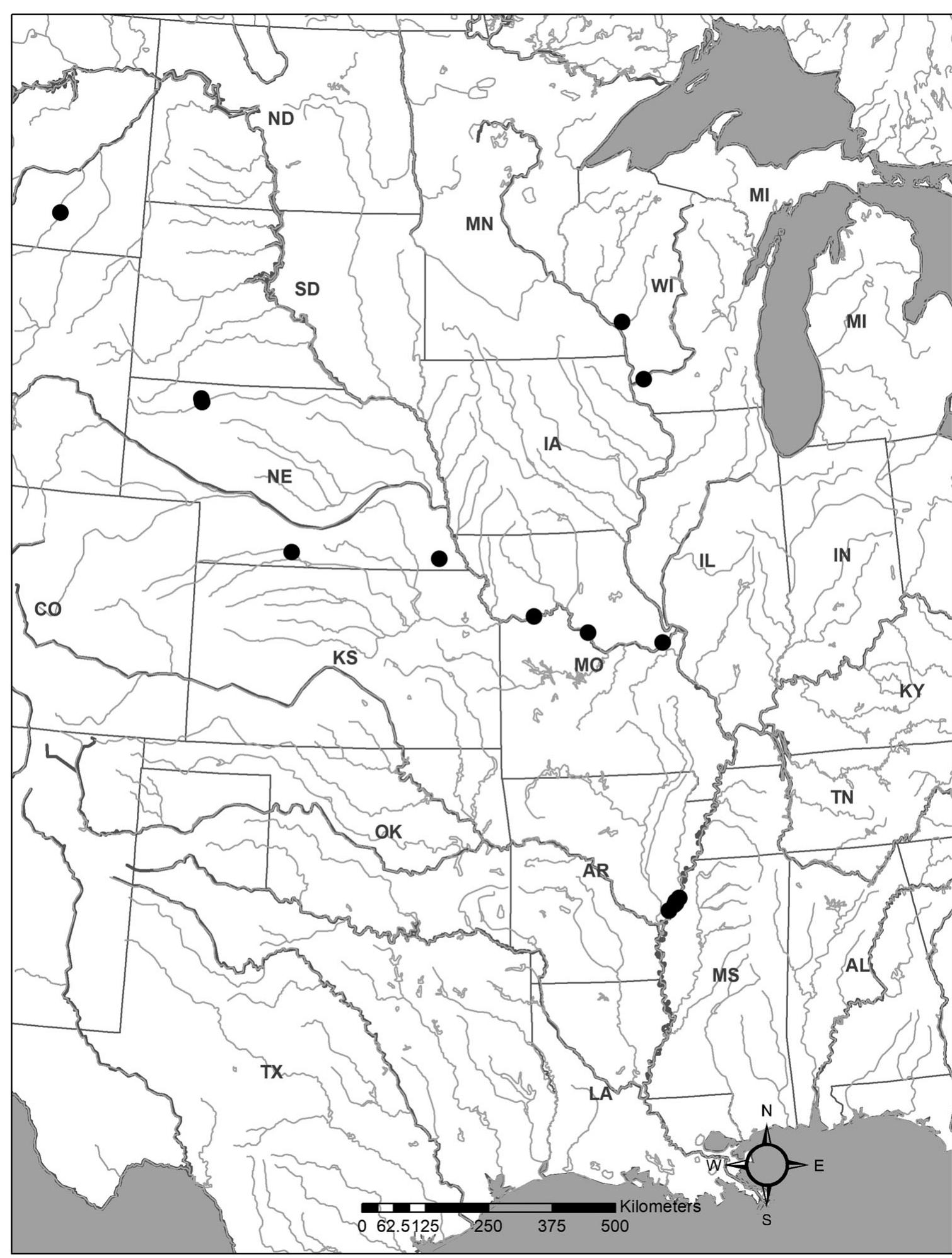Figure 1 - from The mayflies (Ephemeroptera) of New