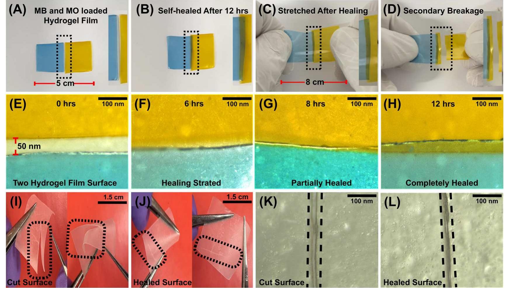 (PDF) A Transparent, Tough and Self-Healable Biopolymeric Composites ...
