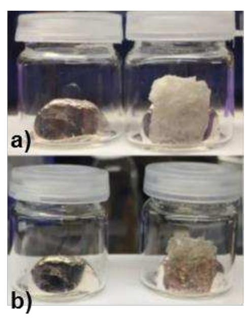 Figure 2. a) Sodium and sodium in contact with NaTFSI(PEO)g at room temperature, and b) sodium and sodium in contact with NaTFSI(PEO), after storage for ~90 h at 60 °C. 