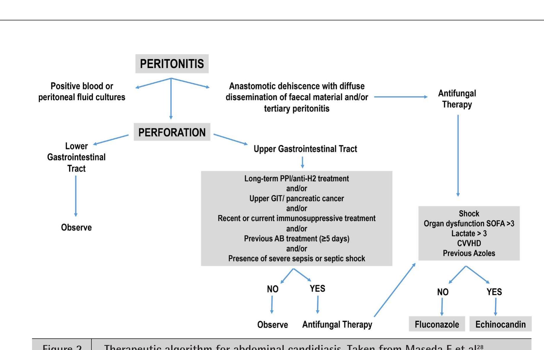 (PDF) Update on management of invasive candidiasis
