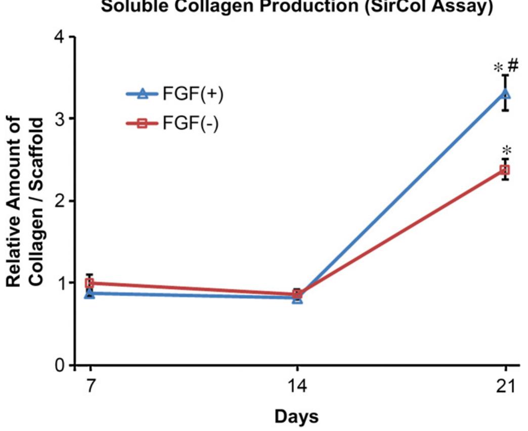 Fig. 6. BMSC-seeded scaffolds of both groups showed similar collagen production in the first two weeks, followed by a significant increase in the 3rd week (*p < 0.001, ANOVA). BMSC-seeded FGF(+) scaffolds produced significantly higher amounts of collagen, compared to FGF(—) controls, at 3 weeks (*p = 0.01, t-test).  Since optimal tenogeneic differentiation of BMSCs as well as healing of ligament/tendon injuries requires multiple growth factors [25,26], it would be desirable to fabricate scaffolds 