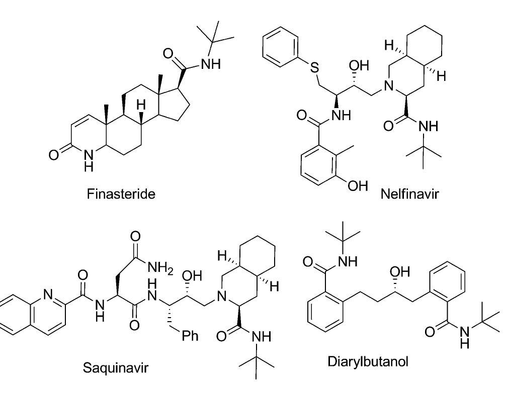 (PDF) One-Pot Sequential Schmidt and Ritter Reactions for the Synthesis ...