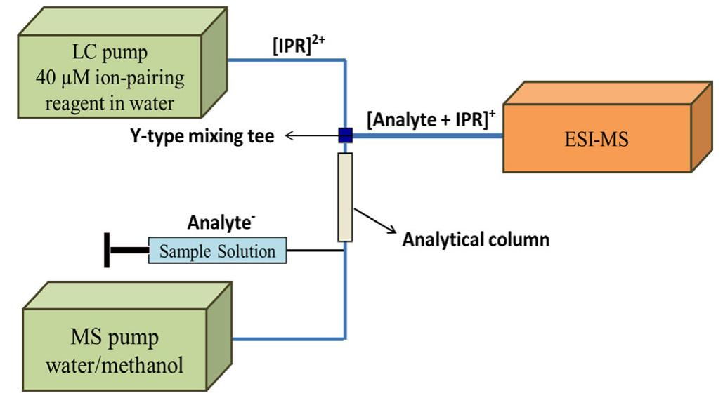 FIGURE 2. The instrumental configuration of HPLC—PIESI-MS/MS. The IPR is continuously post-column infused and mixed with separated fractions  in a Y-type mixing tee before ESI-MS. Reprinted with permission Xu et al., 2013; copyright 2013 Elsevier. 
