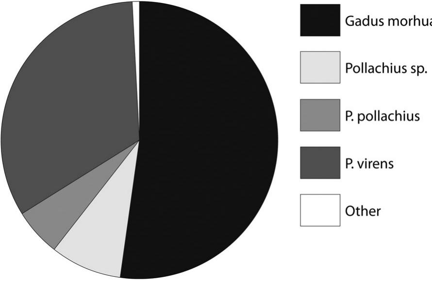 Figure 5 Relative abundances of gadid fish at Szevarhelleren. 