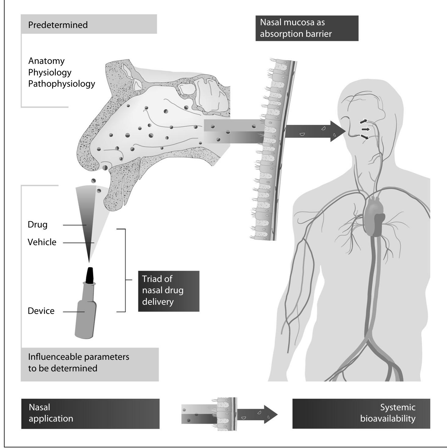 (PDF) Nasal Drug Delivery in Humans