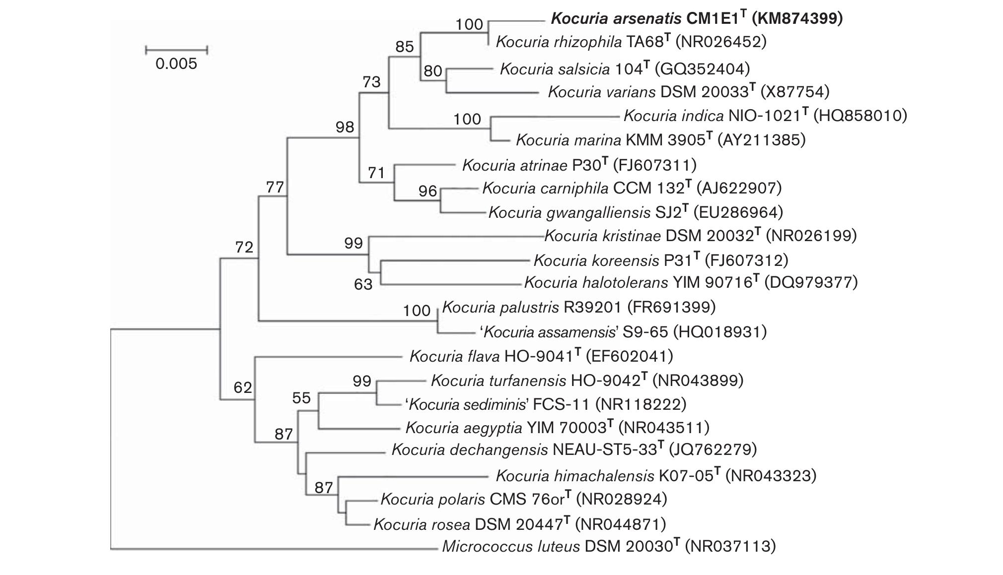 (PDF) Kocuria arsenatis sp. nov., an arsenic-resistant endophytic ...