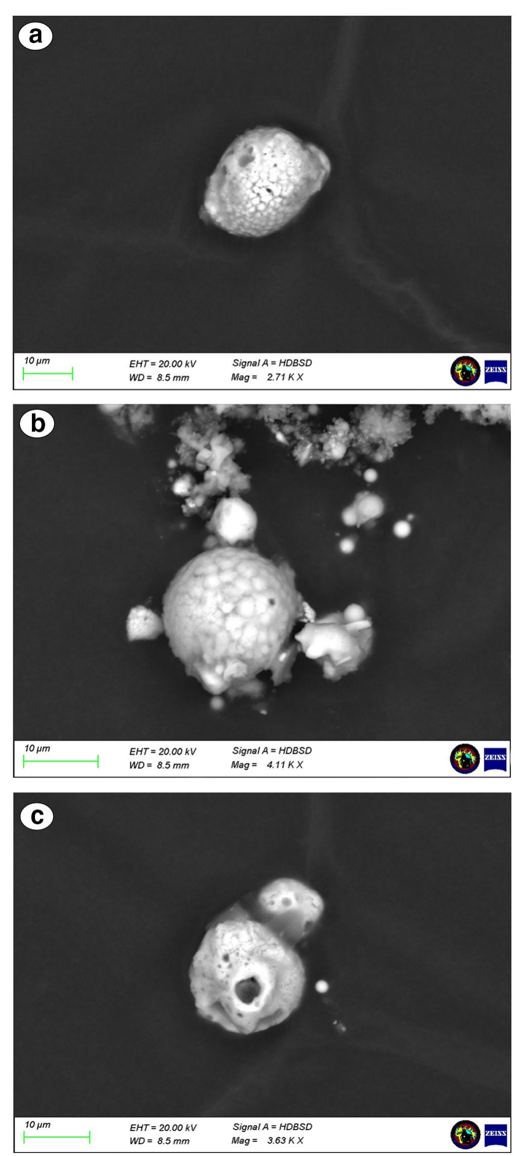 Fig. 1 HDBSD images of representative morphology particles from GSCT spent cartridge case at different magnifications. a Typical particle spherical/irregular shape with peeled orange shell. b Typical particle spherical with peeled orange shape. e Atypical morphology as a hole in the centre with peeled orange shape 