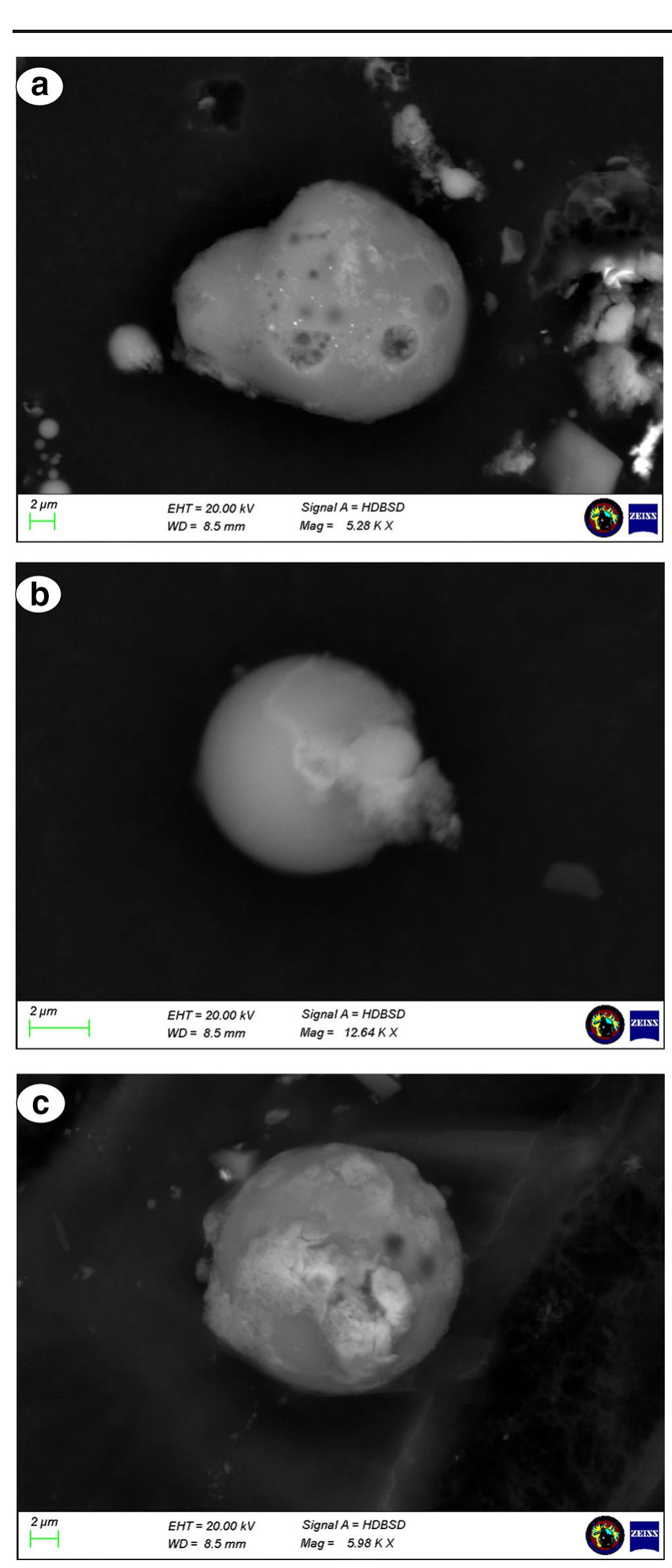 Fig. 7 HDBSD images of representative morphology particles from FZP spent cartridge case at different magnifications. a Typical particle spherical/irregular with peeled orange shape. b Typical particle spherical with smooth/peeled orange shape. ¢ Typical spherical with peeled orange shape 