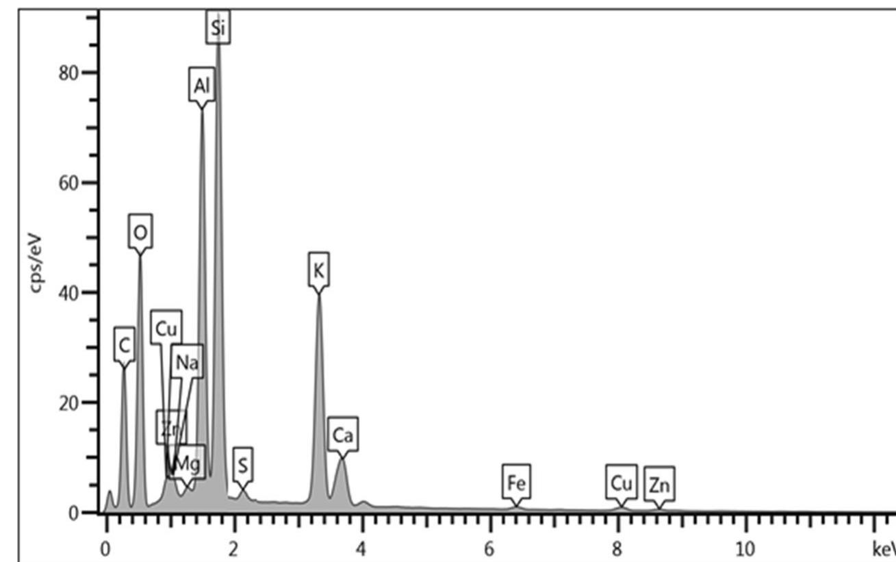 Fig. 8 EDX spectrum of characteristic compositions and particle from FZP spent cartridge case 