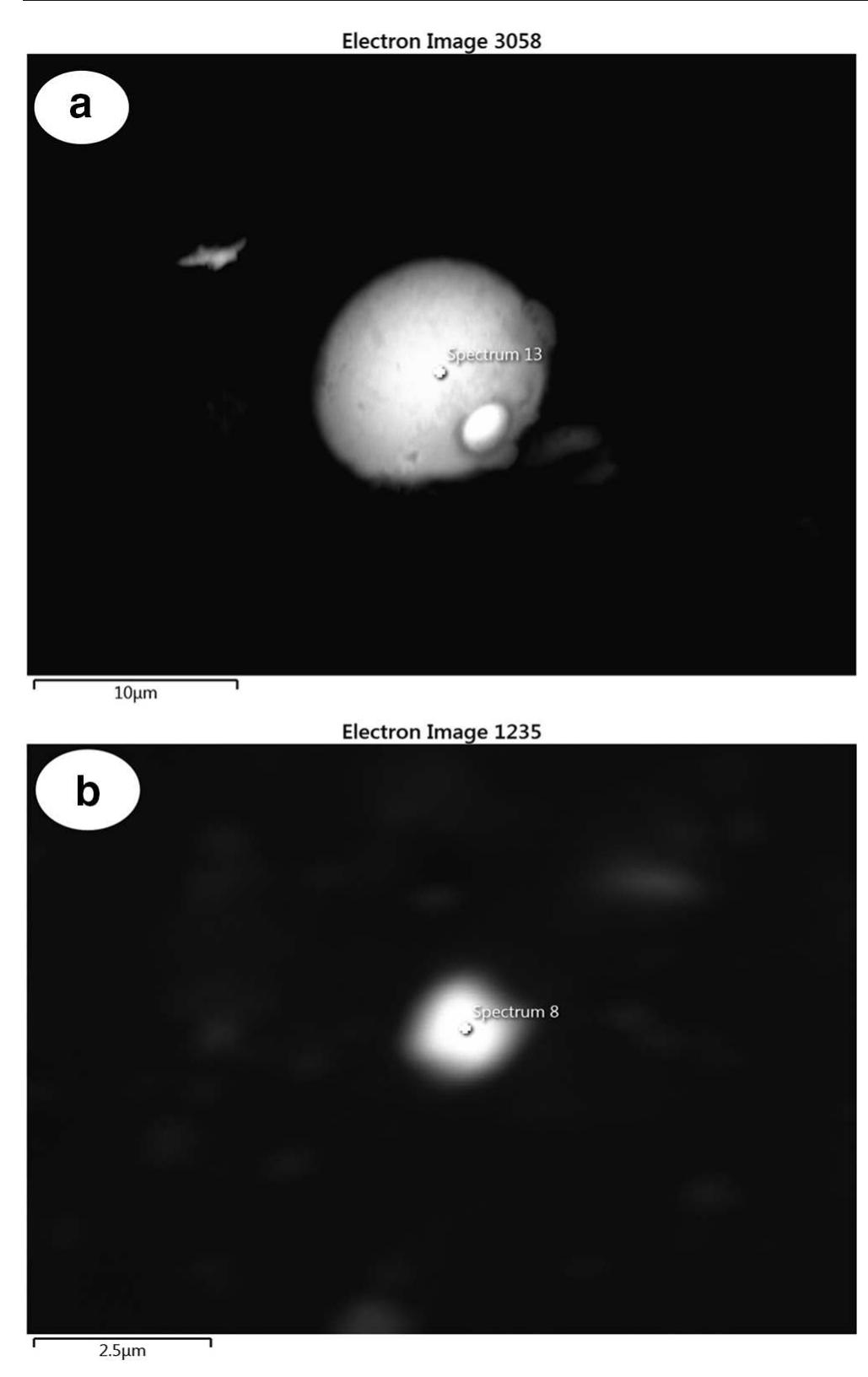 Fig. 10 Representative of morphology observation on hands of FLL particles after spent cartridge case. a Typical spherical particles with peeled orange shape at few hours after shoots. b Typical spherical particles with smooth shape at 40 h after shots 