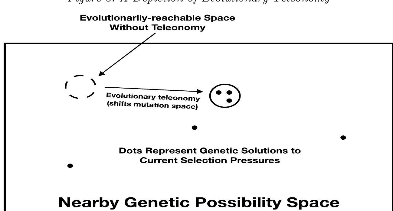 (PDF) Causal Capabilities of Teleology and Teleonomy in Life and Evolution
