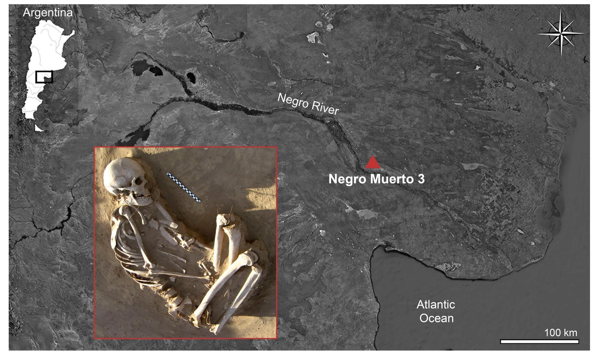 Fig. 1 Location of the Negro Muerto 3 archaeological site. The red inset shows the analysed individual in situ  The analysed individual (NM3_4) comes from the Negro Muerto 3 site, located on a small elevation of sand next to a river flood channel in the middle valley of the Negro River, Northeastern Patagonia (Fig. 1). The site was found accidentally during clearing and levelling activities in 2013. Then, during archaeological rescue excavations car- ried out by some of the authors (AS, LP), lithic artefacts, faunal remains, pottery, and human remains of at least 12 individuals — adults and subadults of both sexes — were found. Five primary burials were in situ, and remains cor- responding to a minimum number of seven individuals were completely and partially exposed to the surface (see details in Prates et al. (2019)). Two residential occupa- tions were defined for the site (dated between 900 and 