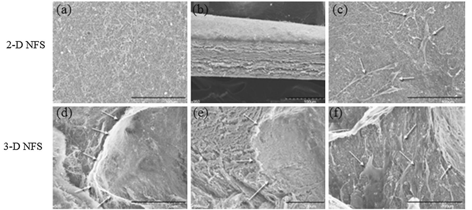 Scanning electron microscope (sem) images for a—c 2d