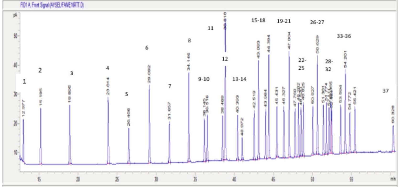 Gc-fid chromatogram of fame37 mix, c4-c24 reference standard