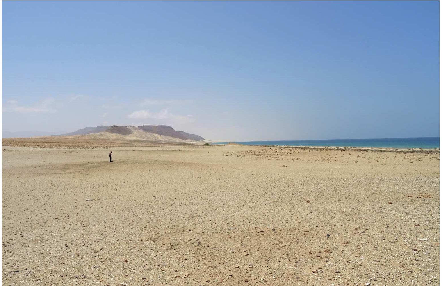 Fig. 3. The beach market of Siyaara, some 30 km from Berbera. Despite being used for almost 800 years (eleventh-nineteenth centuries), it developed virtually nc infrastructures.  However, this volatility is not necessarily obvious in historical texts. In them, points of trade along the coast tend to appear associated with a few specific places, often the same for millennia. In the Periplus of the Erythraean Sea, for instance, a travelogue of the mid-first century AD (Casson 1989), the author mentions six ports along the Somali coast. Yet several more have been located: they can be easily spotted as concen- trations of tumuli, built by pastoralists to bury their dead in the places where they traded. In some sites, such as the region of Xiis (usually identified with ancient Mundu), the nomadic necropolises are not limited to a single spot, but extend for dozens of kilometers along the coast, thus showing that places of trade shifted over the years, probably  Nomadic fissiparous politics explain this shifting geography. By way of example, in Berbera, in 1847 a clan dispute occurred that changed commercial networks in the region (Cruttenden 1849: 51): one clan moved to Bulhar, a small village some 30 km west of Berbera, and some traders followed them. This would have been impossible had a large investment in infrastructure been made in the other town or had Berbera 