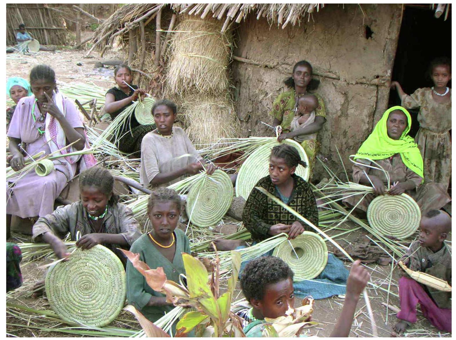Fig. 4. Wayto women making baskets. A typical example of internal frontier people, the Wayto no longer hunt hippos, but engage in other economic activities that are complementary with the dominant Amhara society. 