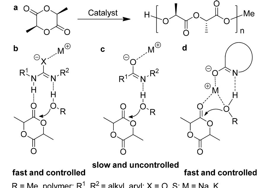 Effos Rop (PDF) Fast and controlled ring-opening polymerization of δ ...