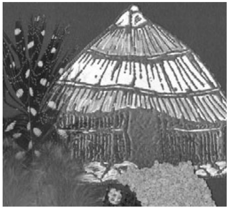 Indlu Rondavele Figure 4 - The Indigenous Rondavel: A Case for Conservation