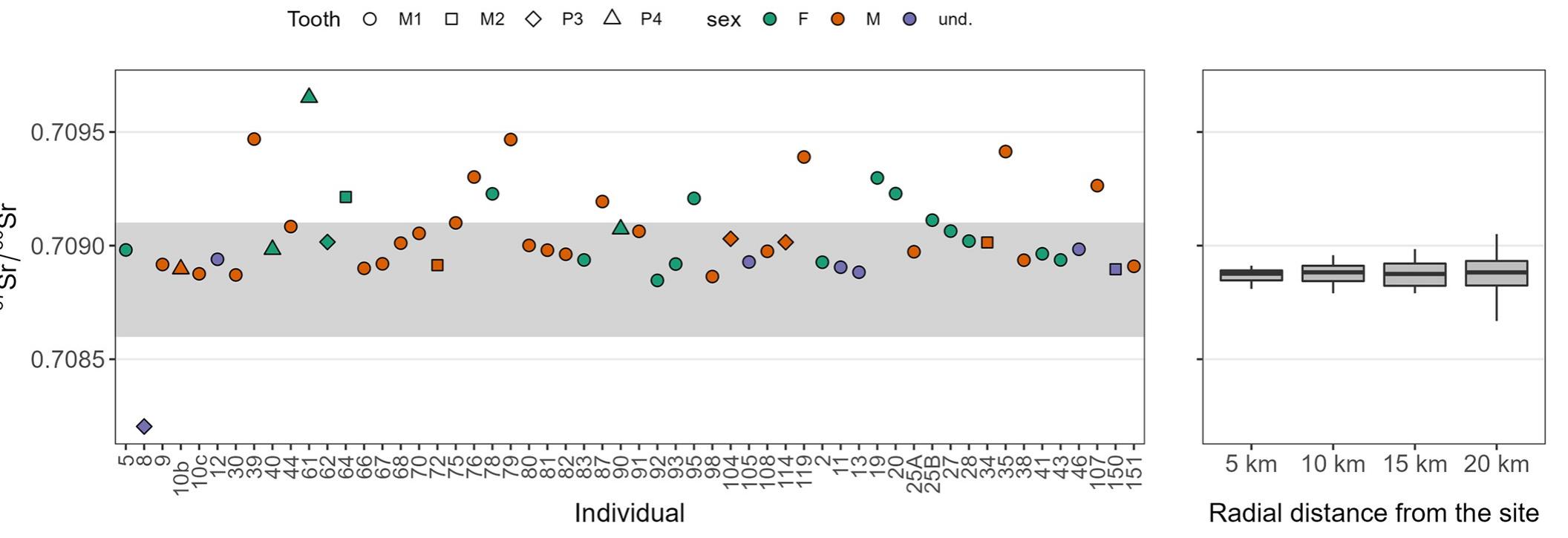 Fig 2. Sr isotope results. (Left panel) Sr isotope data for the individuals considered in this study; the grey area is the likely local baseline; (right panel) Sr isotope signature of the Italian isoscape, resampled at a radial distance of 5, 10, 15 and 20 km from the site.  Pairwise MMD values and standard deviations (SD) are reported in Table 4. MMD values significance based on the relationship MMD>2SD is shown in S3 Table. Among all the non-  The 10 selected trait frequencies are listed in Table 2. The original set of 42 trait frequencies in the newly analyzed necropolises is shown in S2 Table. On the 10 traits selected, a correlation test using Pearson’s product-moment correlation coefficient found that no traits were signifi- cantly correlated (p < 0.05) with each other for the novel data, except for Groove pattern LM2 and Double shoveling UII although with a moderate correlation (r = 0.43). Sex moderately correlates with Double shoveling UII (r = -0.42; p-value = 0.02) and Parastyle UM3 (r = 0.34; p-value = 0.04). Since the correlation not exceeded 0.05 in each case (S1 Fig), these traits were maintained so the dataset was not reduced anymore.  