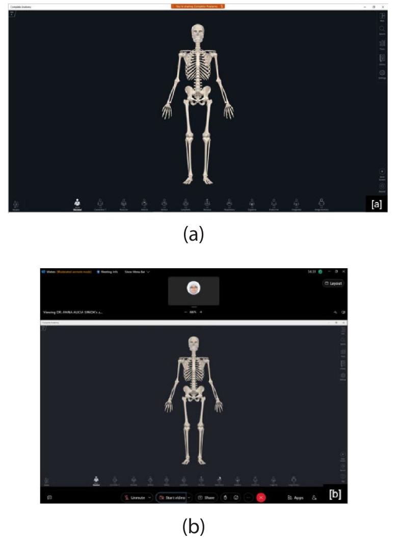 (PDF) Anatomy Practical Session Using a Virtual Three-Dimensional ...