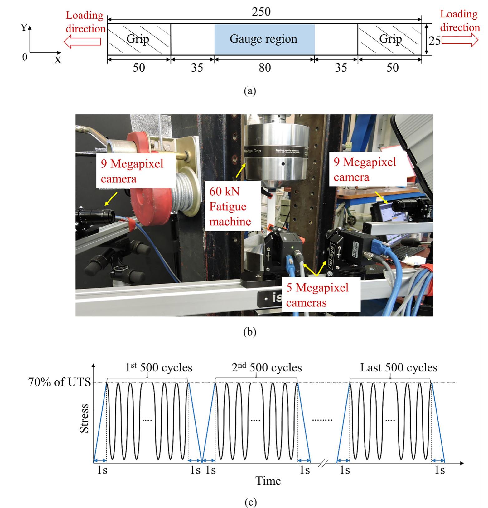 Figure 3 - from Unfolding the early fatigue damage process