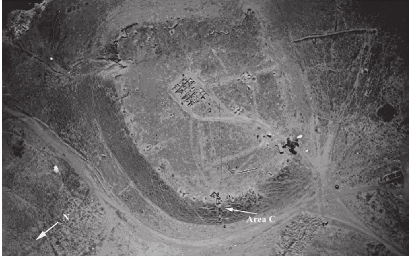 Fig. 3. Aerial view of Area C, with other excavation areas in the background. 