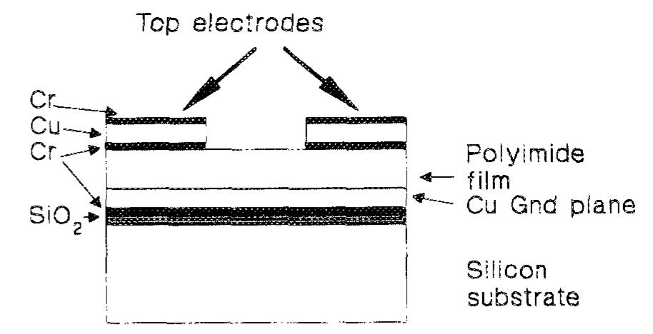 Fic Plate Fic. 1. cross section of the test structure for the