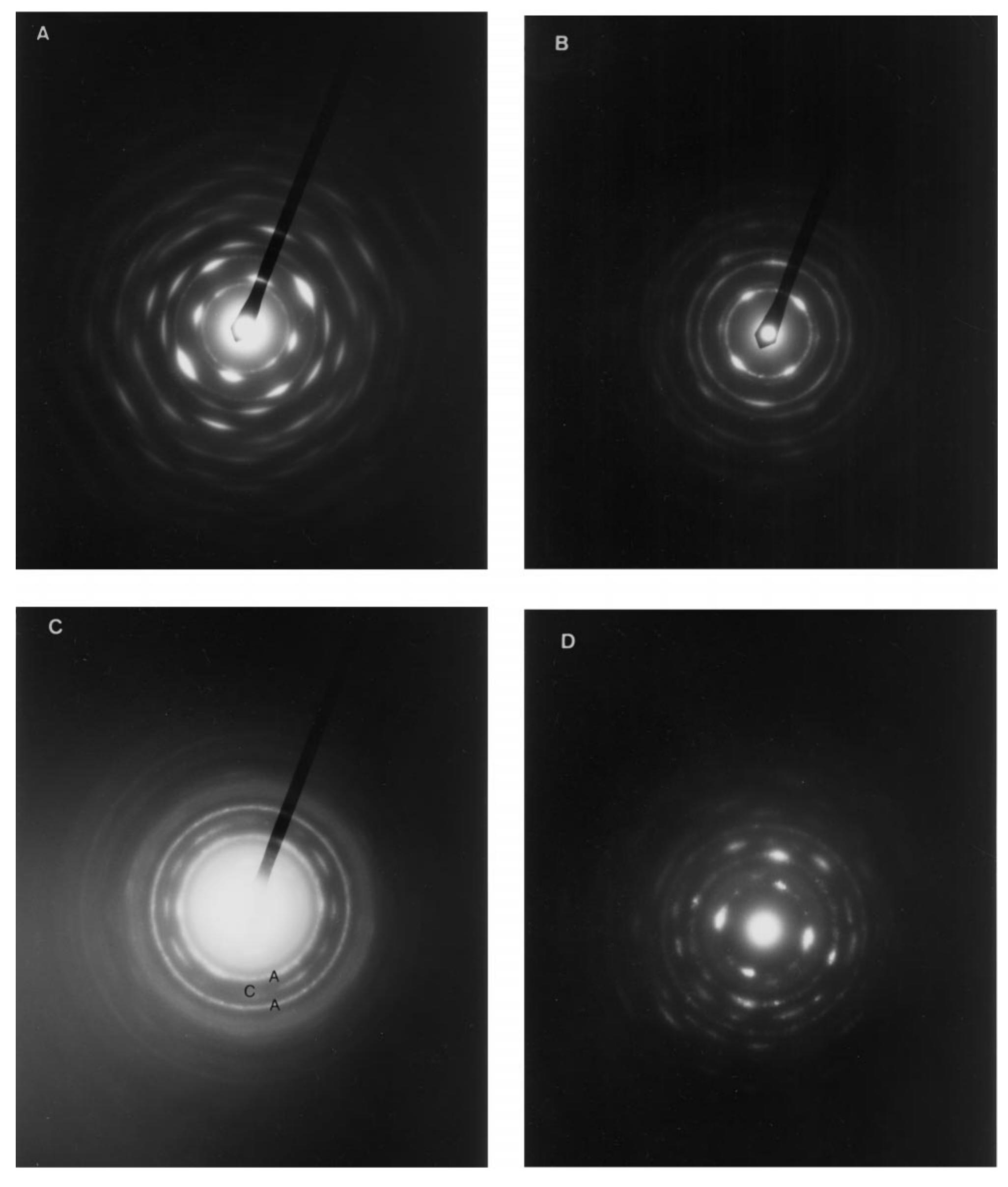 Electron diffraction diagrams for different zones of pd