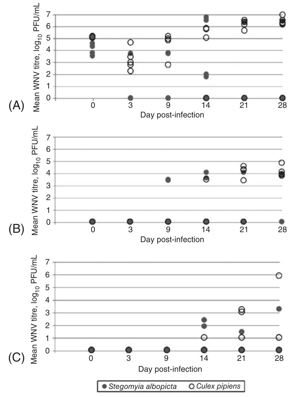 (PDF) Evaluation of vector competence for West Nile virus in ...